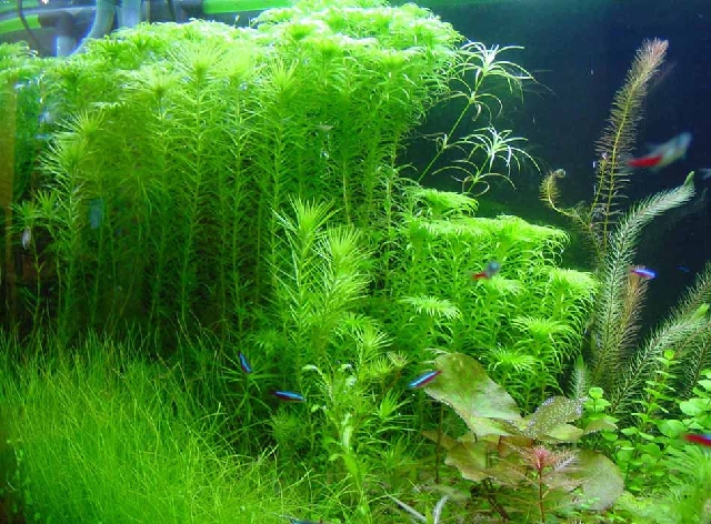 Photo by 牙牙拔拔