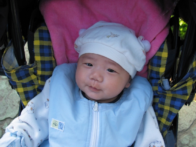 Photo by 牙牙拔拔