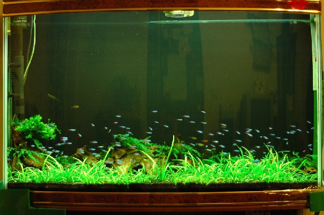 Photo by 牙牙拔拔