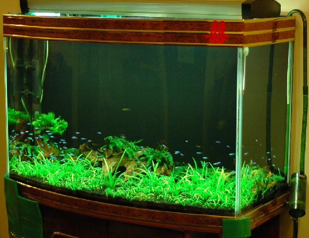 Photo by 牙牙拔拔