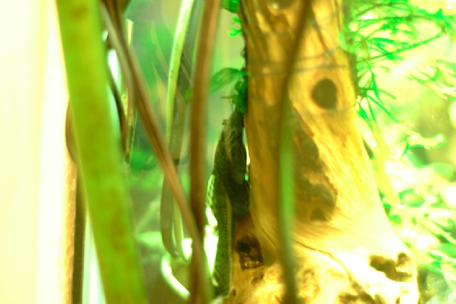 Photo by 牙牙拔拔