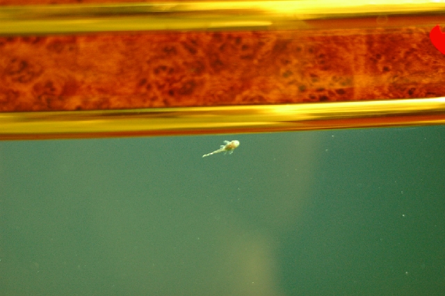 Photo by 牙牙拔拔